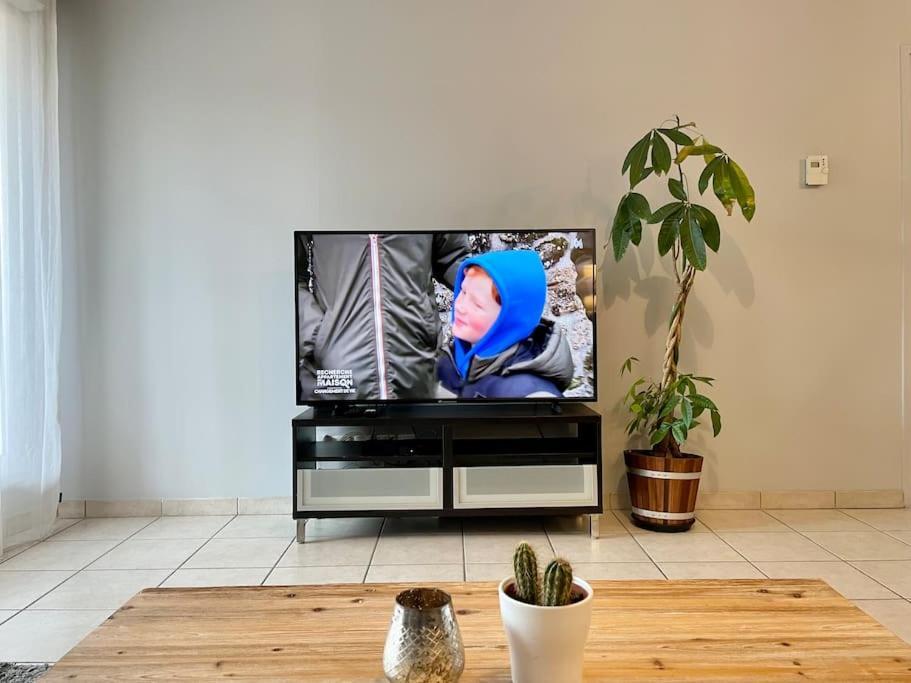 L'Ideal Cosy-Wifi-Netflix Et Garage Vienne  Exterior photo